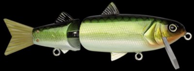 Mader Alive color 152