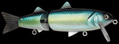 Mader Alive color 153