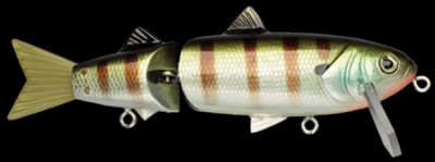 Mader Alive color 155