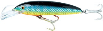 Jumbo Shallow color 15