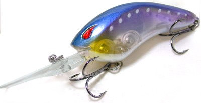 Angel shad color 