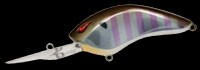 Angel shad color BR-120