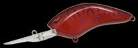 Angel shad color BR-39