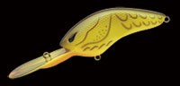 Angel shad color BR-52T