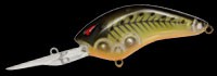 Angel shad color BR-74