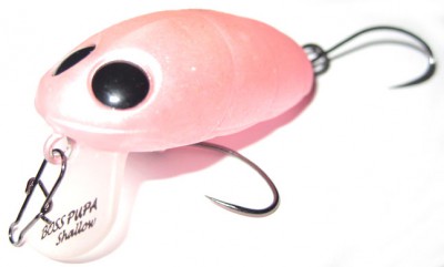 Boss Pupa Shallow color 