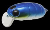 Boss Pupa Shallow color 123