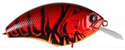 Blitz Max color Z-08