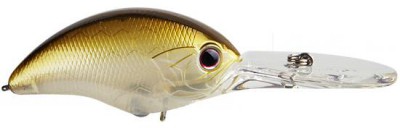 Blitz Max Dr color G-01