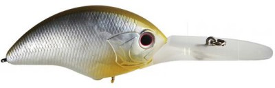 Blitz Max Dr color H-23