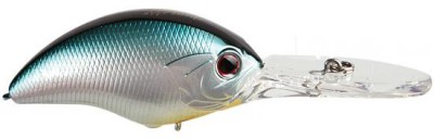 Blitz Max Dr color T-06