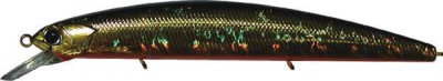 Rudra Jerkbait color H-04
