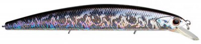Rudra Jerkbait color H-09