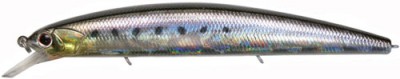 Rudra Jerkbait color HS-09