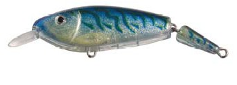 Rollo Minnow color B