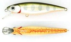 Greedy Guts color 404