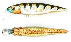 Greedy Guts color 407