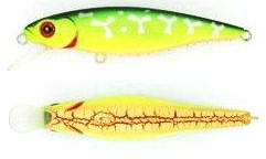 Greedy Guts color 470