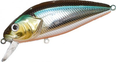 Perch color 378