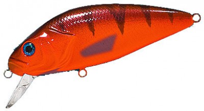 Perch color 521
