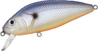 Perch color 606