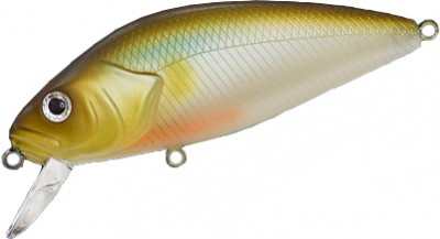 Perch color 800