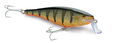 CountDown Super Shad Rap color 