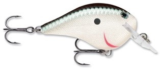 DT (Dives-to) Fat Series color S