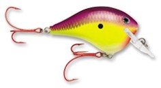 DT Fat Sure Set Series color CPS