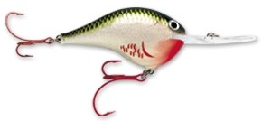 DT Sure Set Series color BOS