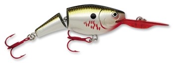 Jointed Shad Rap color BOF