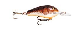 Mini Fat Rap color BCW