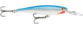 Minnow Rap color B