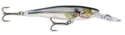 Minnow Rap color SD