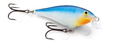 Shallow Shad Rap color 