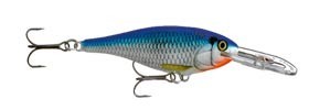 Shallow Shad Rap color BSH