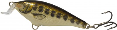 Shallow Shad Rap color MD