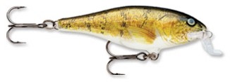 Shallow Shad Rap color W