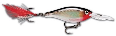 X-Rap Shad color S