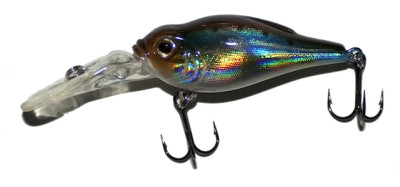 AC-55 color American Shad