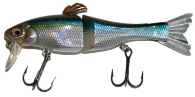AM-90 color American Shad