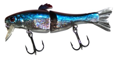 AM-90 color Blue Back Herring