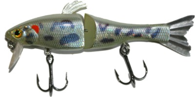 AM-90 color Warmouth