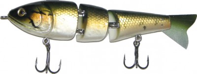 Bass Candy color Bull Bream