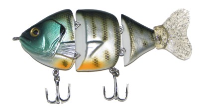 Bull Bream color Bluegill