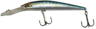 DM-110 color Blue Back Herring