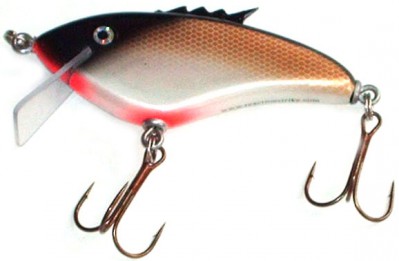 Quiver Critter Jr color Sacled Golden Shiner