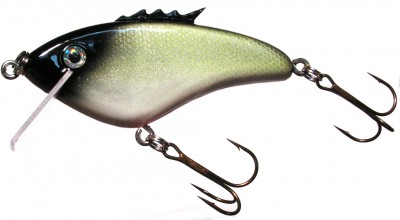 Quiver Critter Jr color Scaled Shiner