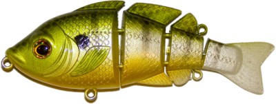 Revolution Bluegill color 