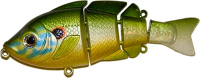 Revolution Bluegill color Pumpkinseed